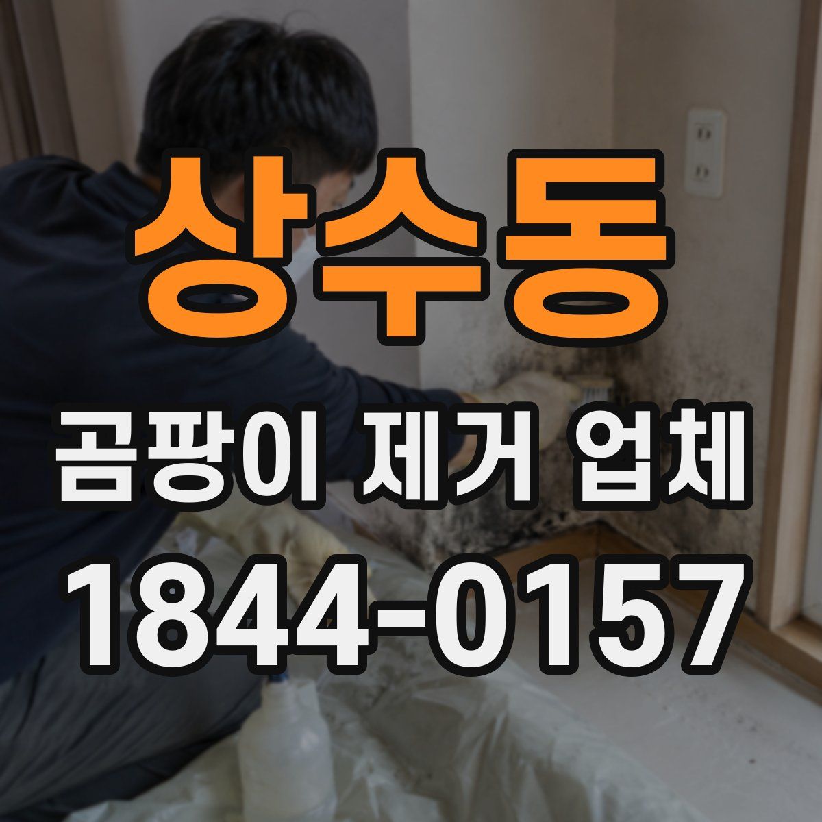 상수동 곰팡이 제거 업체