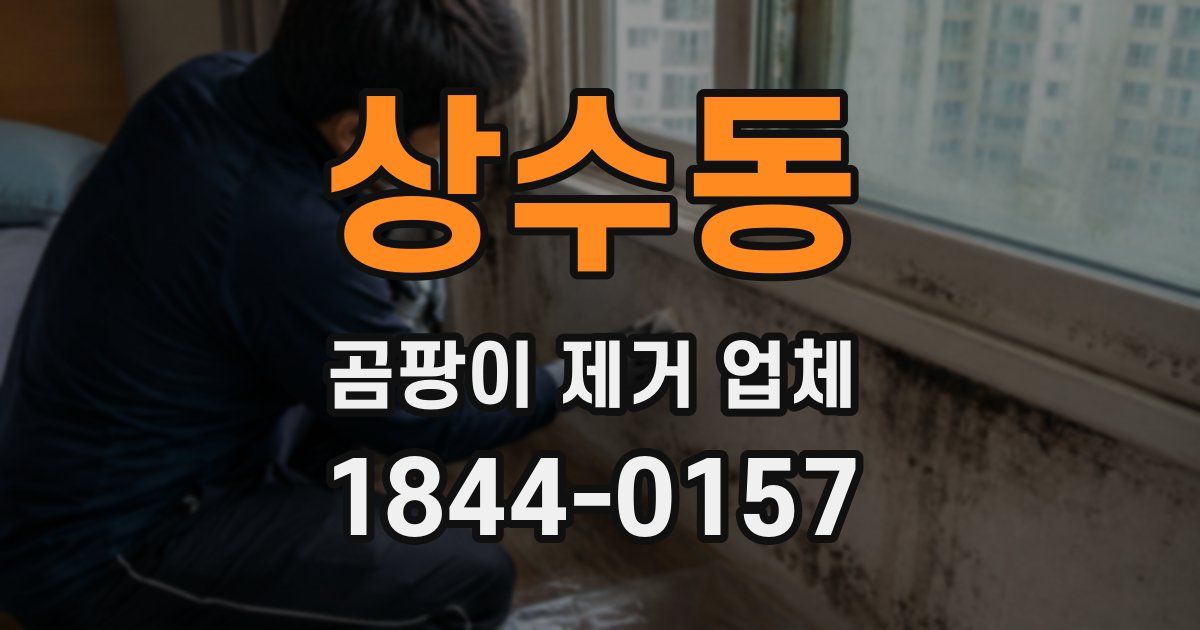 상수동 곰팡이 제거 업체