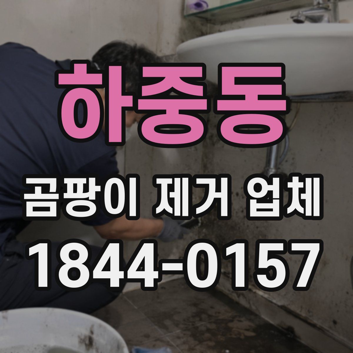 하중동 곰팡이 제거 업체