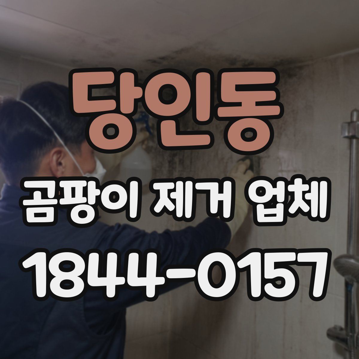 당인동 곰팡이 제거 업체