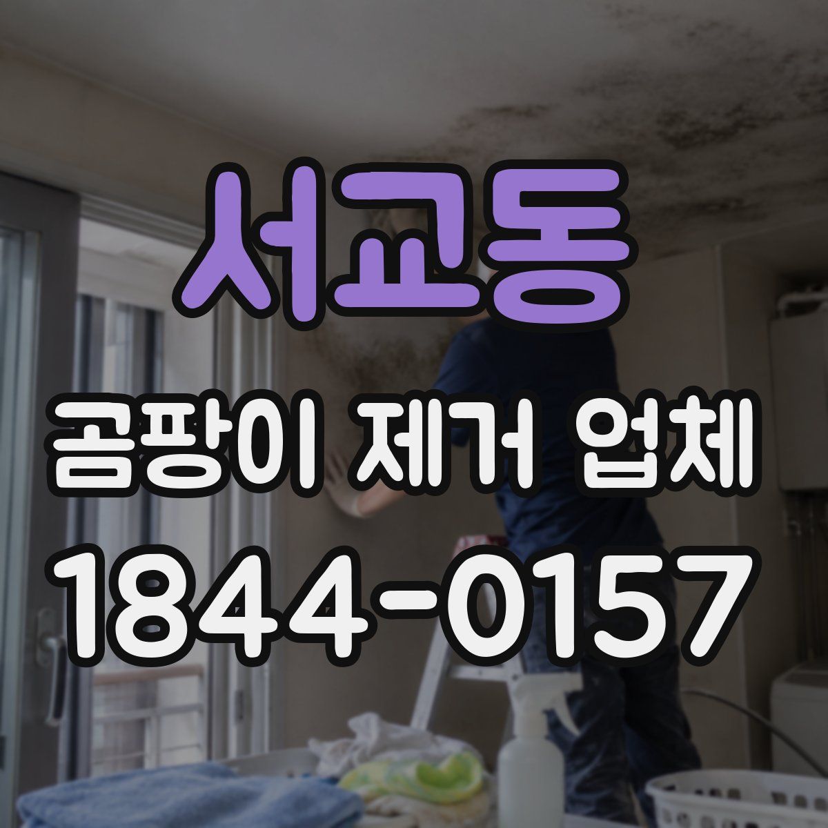 서교동 곰팡이 제거 업체