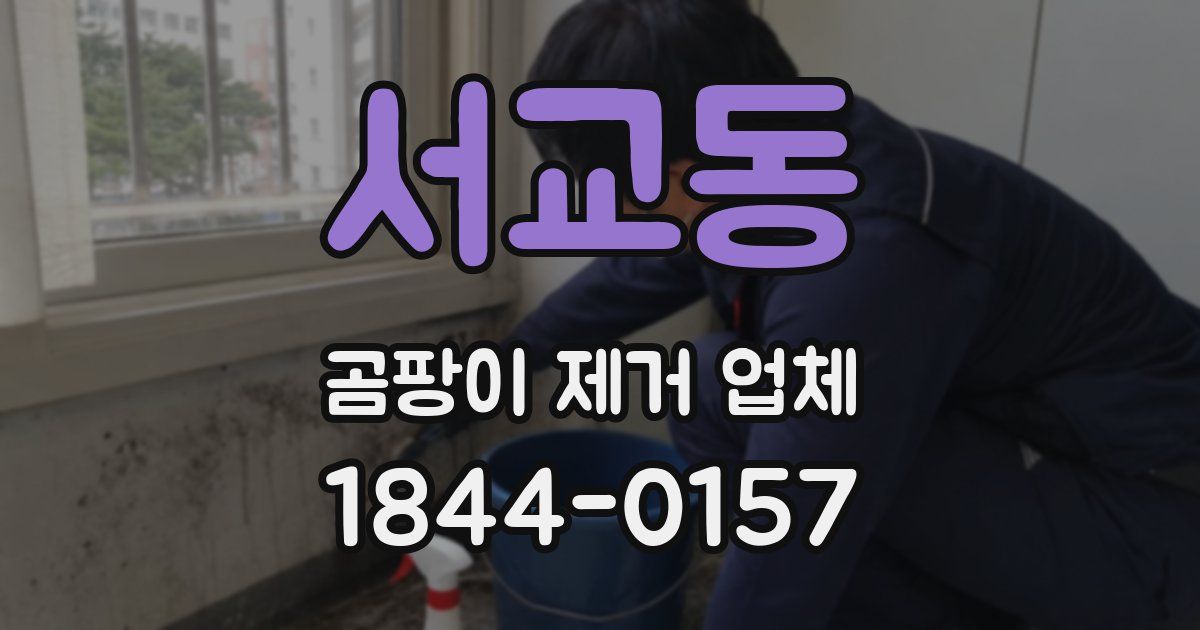 서교동 곰팡이 제거 업체