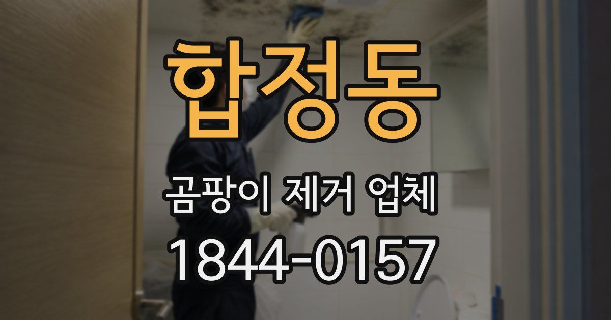 합정동 곰팡이 제거 업체