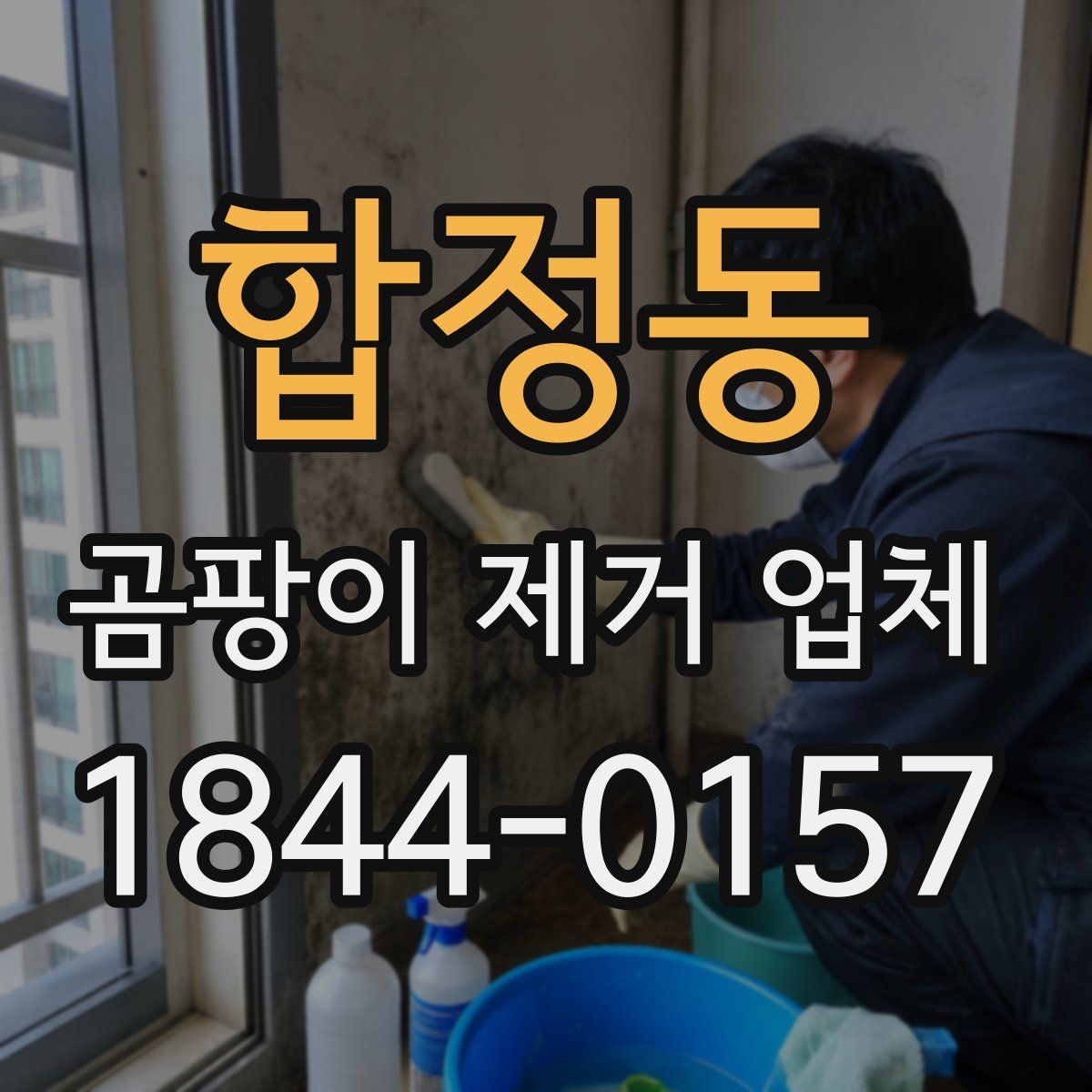 합정동 곰팡이 제거 업체