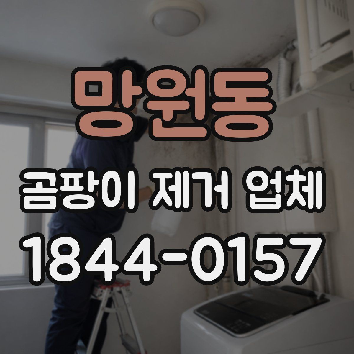 망원동 곰팡이 제거 업체 세대 간 습기 영향까지 살피는 진단 방식