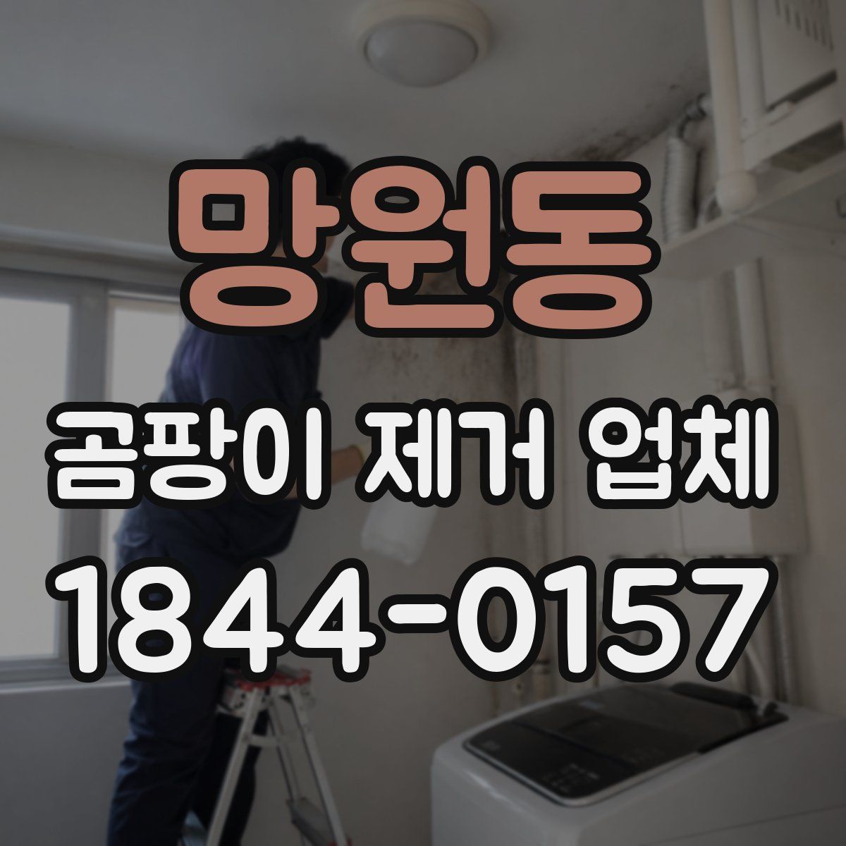 망원동 곰팡이 제거 업체