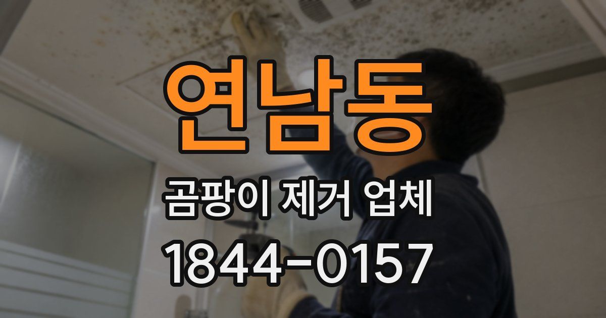 연남동 곰팡이 제거 업체