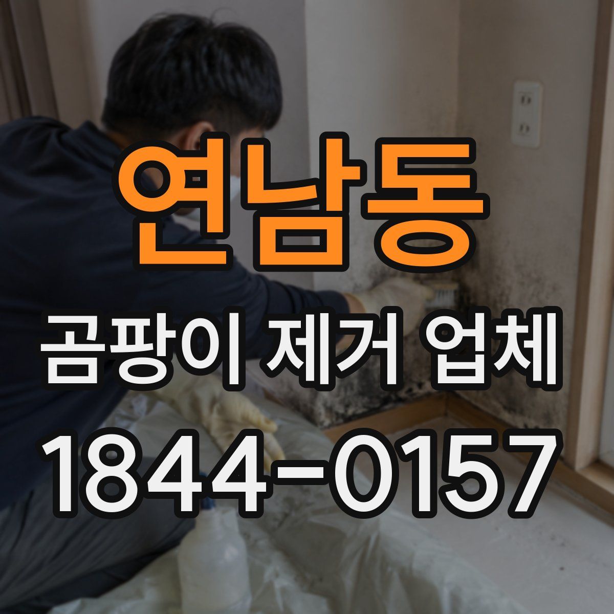 연남동 곰팡이 제거 업체