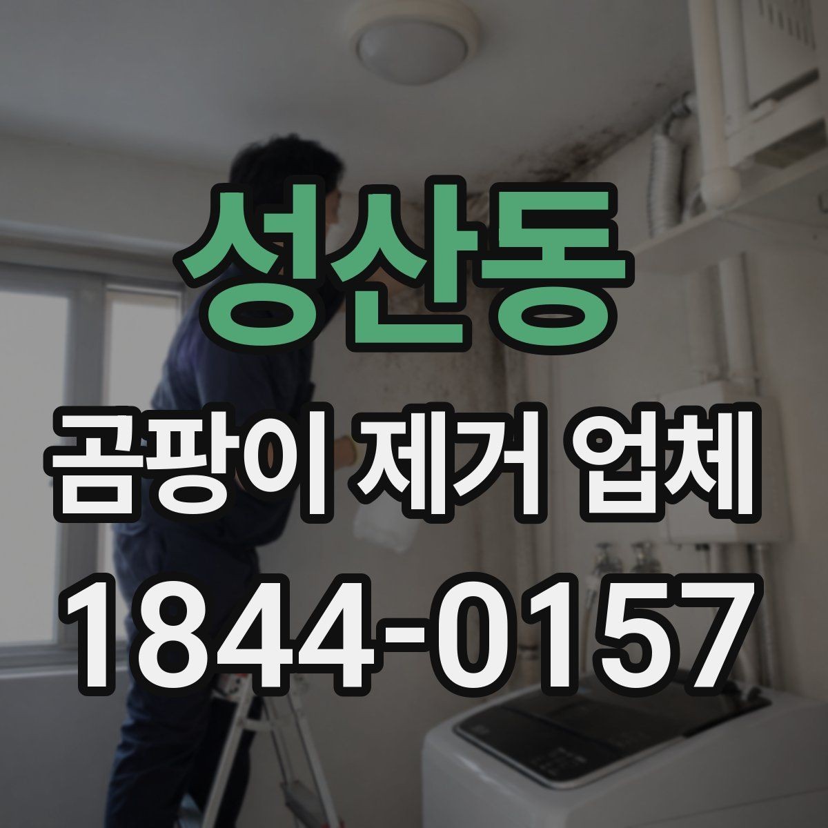 성산동 곰팡이 제거 업체 마감재 변색을 줄이며 진행하는 기준