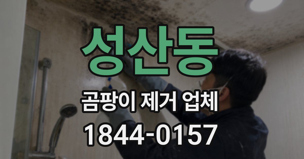 성산동 곰팡이 제거 업체