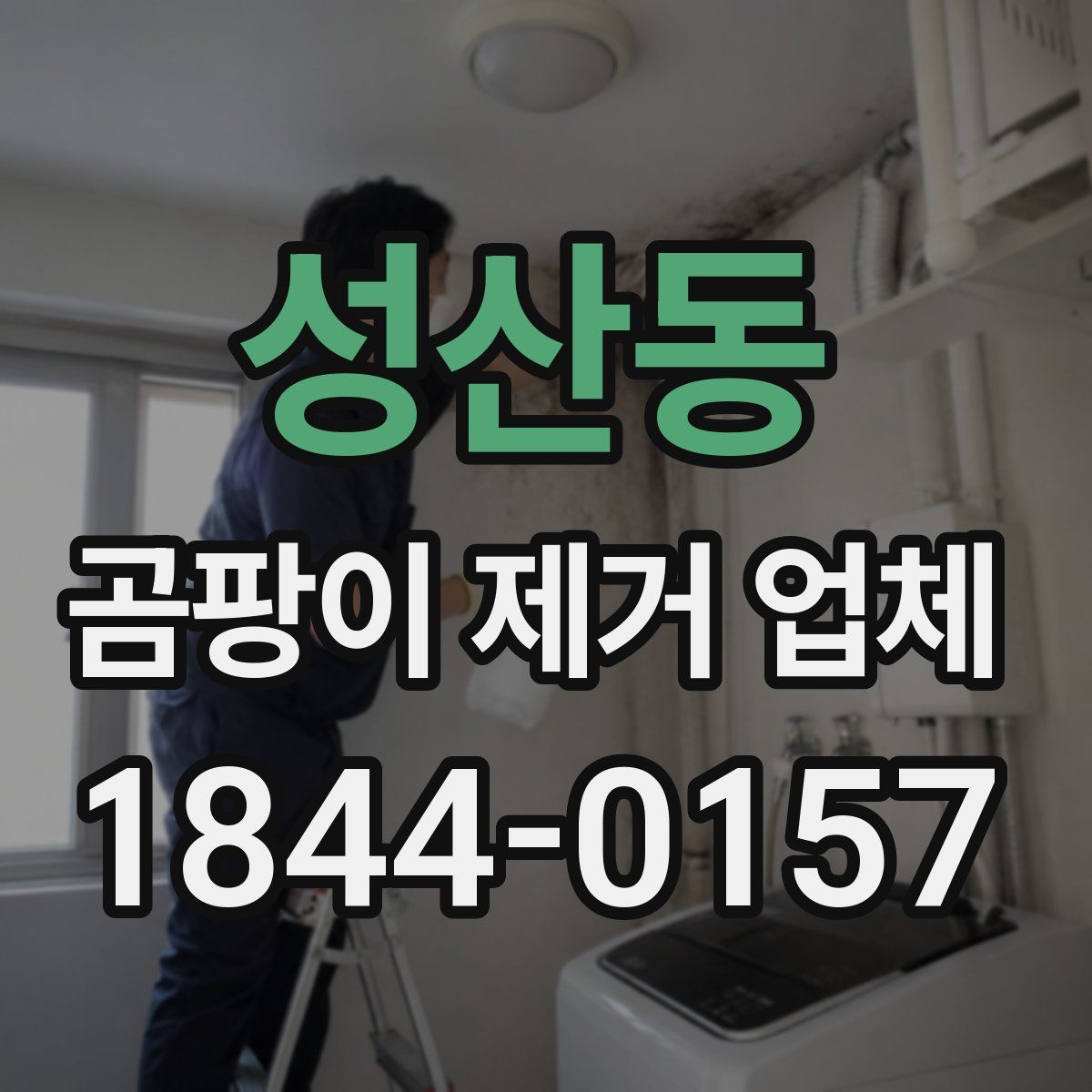 성산동 곰팡이 제거 업체