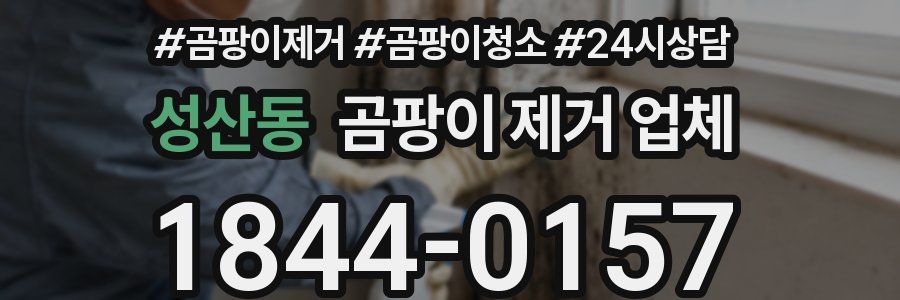 성산동 곰팡이 제거 업체