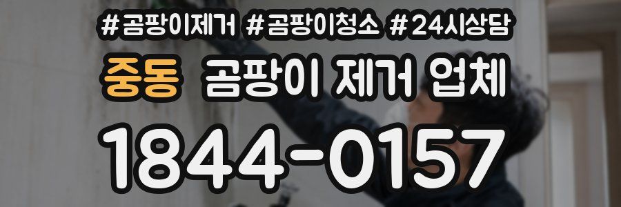 중동 곰팡이 제거 업체