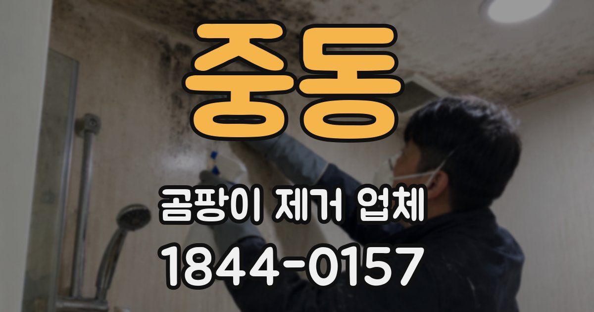 중동 곰팡이 제거 업체