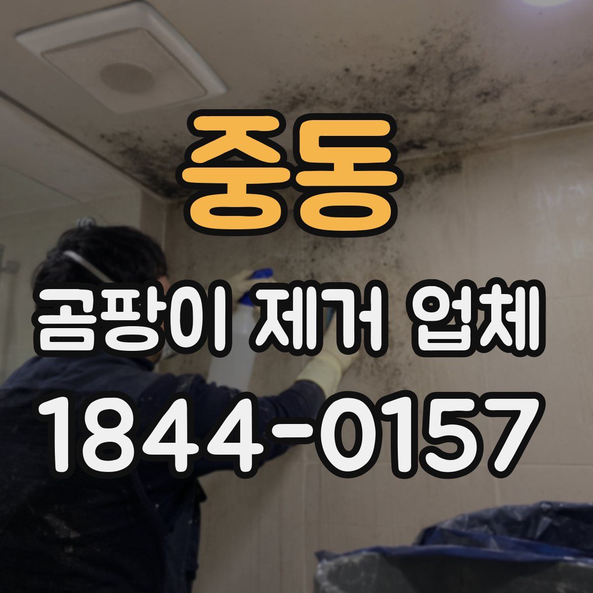 중동 곰팡이 제거 업체