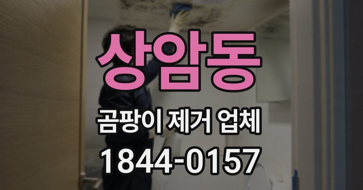 상암동 곰팡이 제거 업체