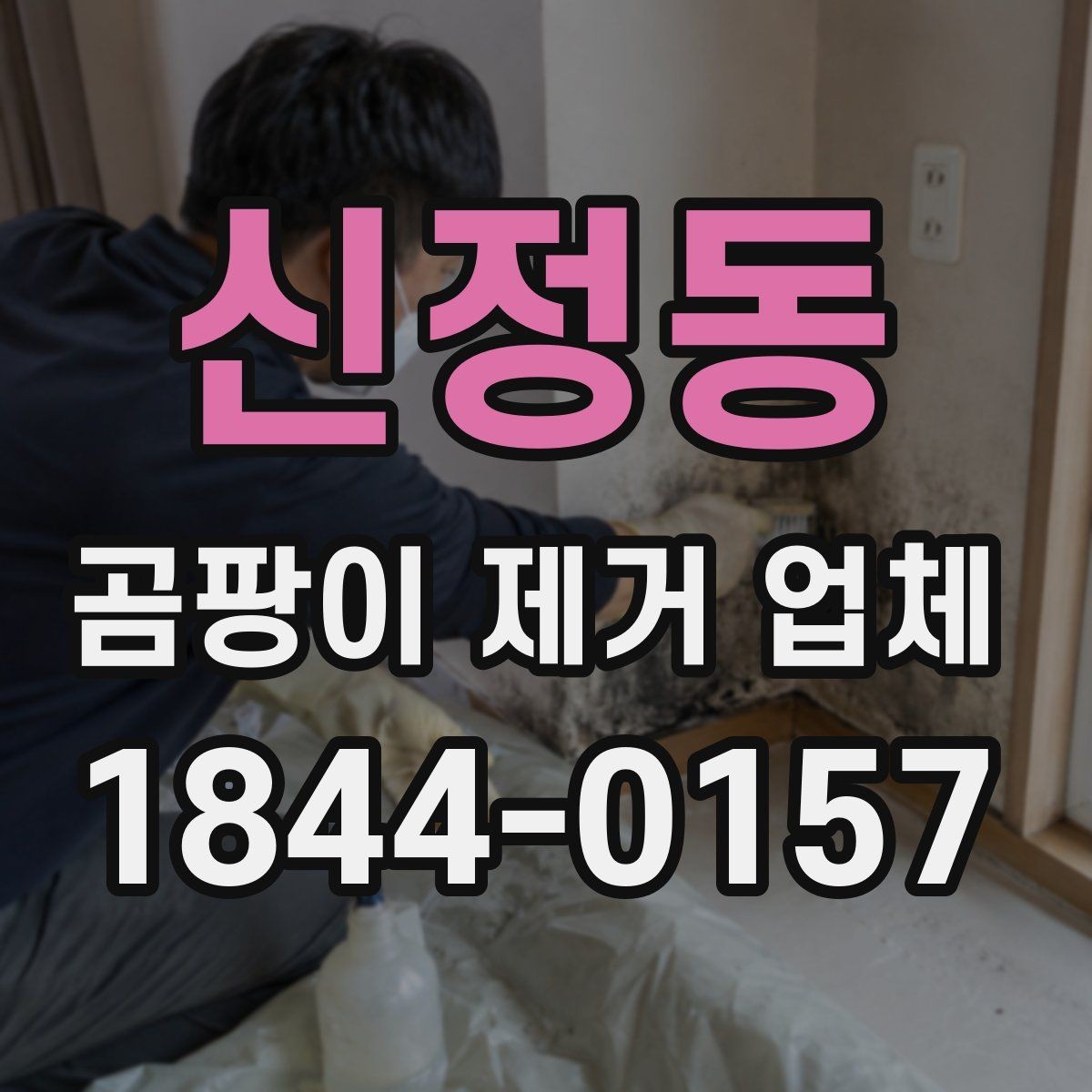신정동 곰팡이 제거 업체 벽지 뒤 오염 가능성을 확인하는 체크리스트