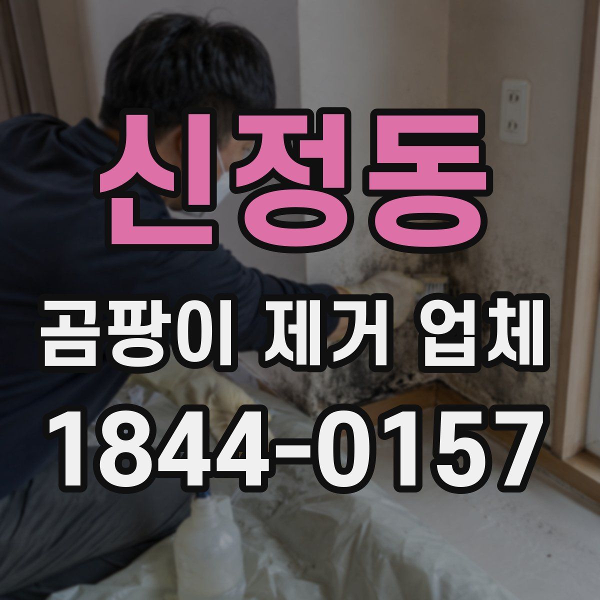 신정동 곰팡이 제거 업체