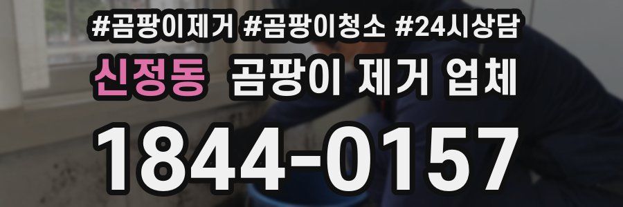 신정동 곰팡이 제거 업체