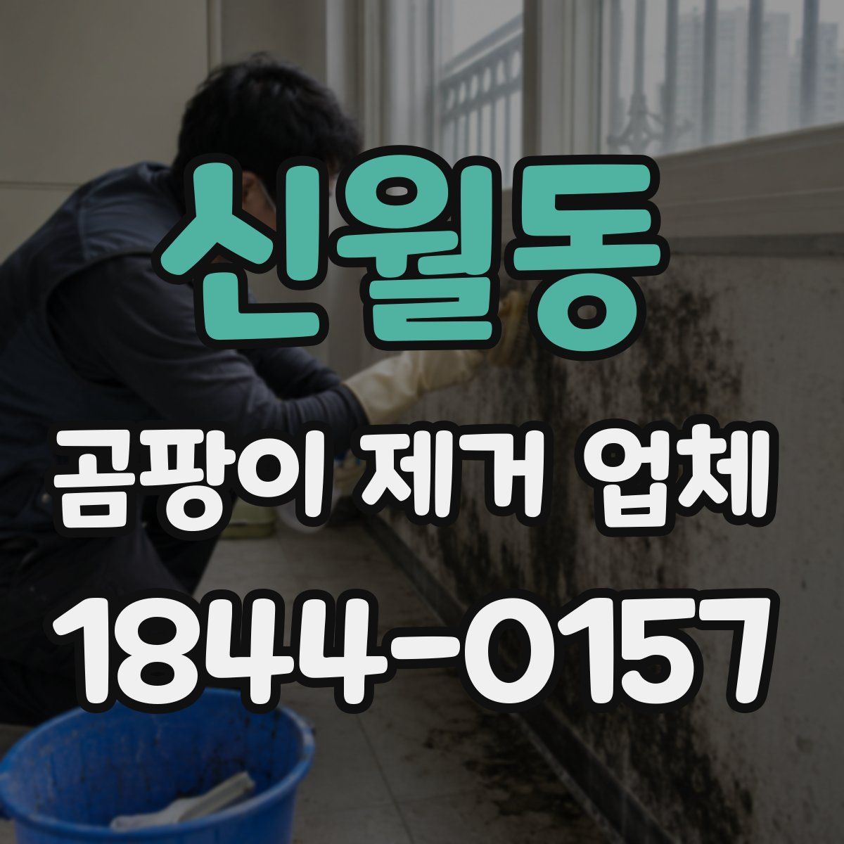신월동 곰팡이 제거 업체