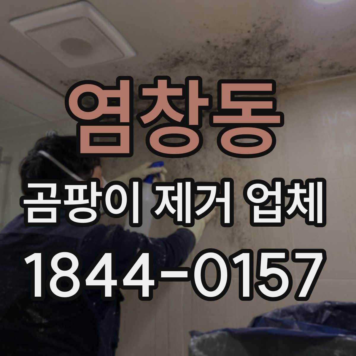 염창동 곰팡이 제거 업체