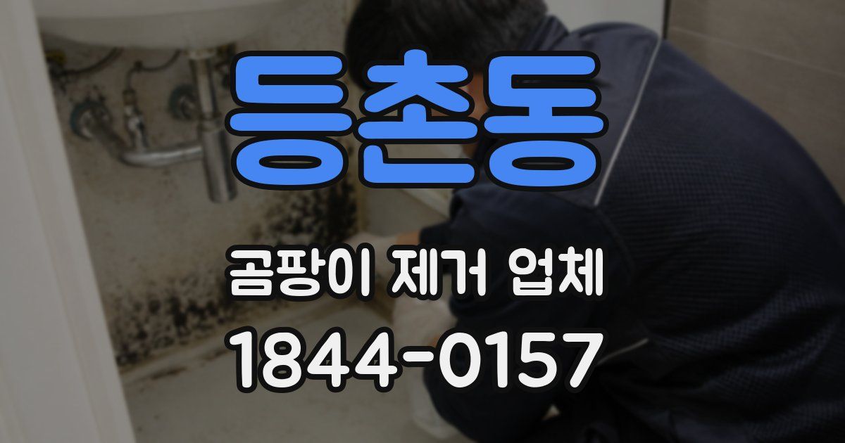 등촌동 곰팡이 제거 업체