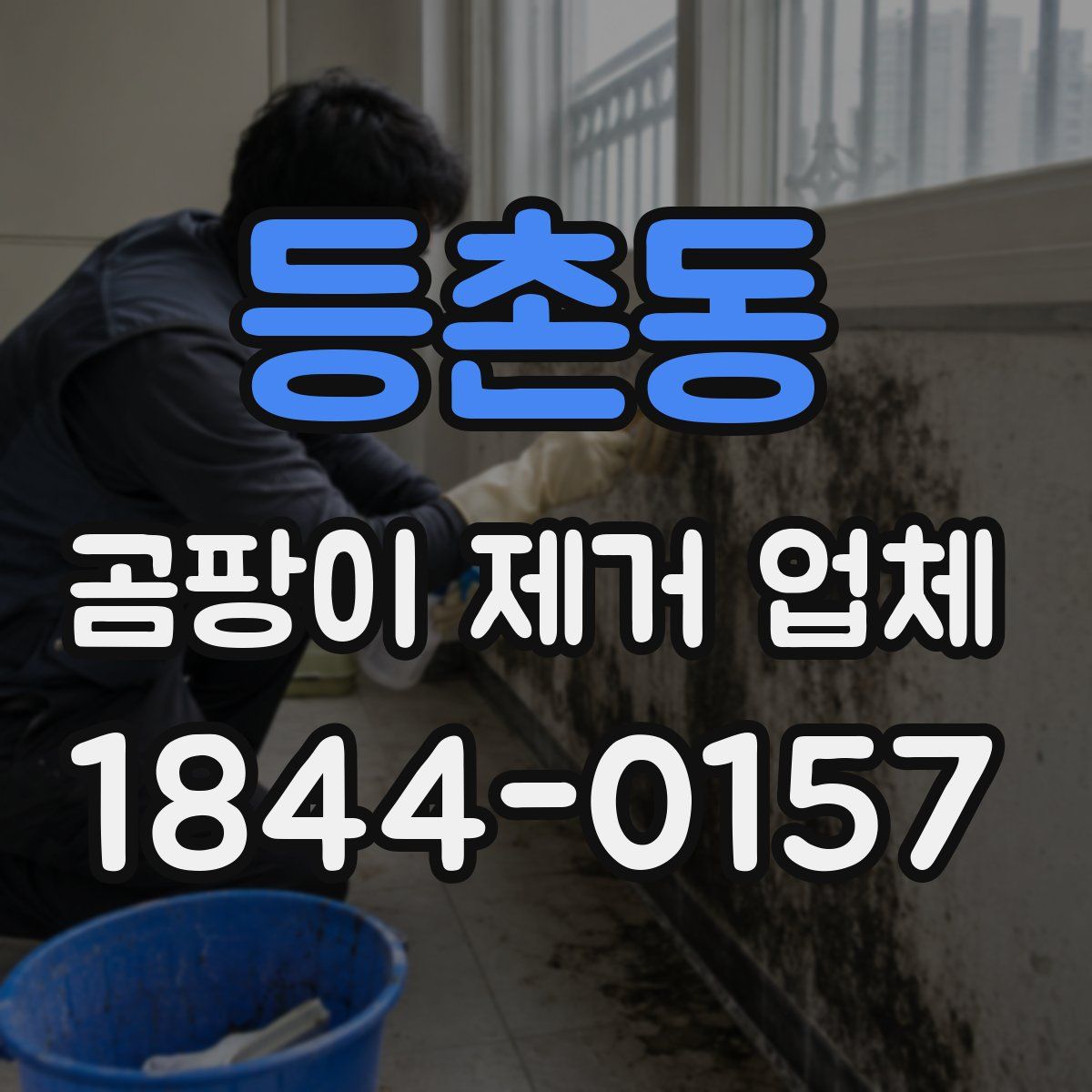 등촌동 곰팡이 제거 업체