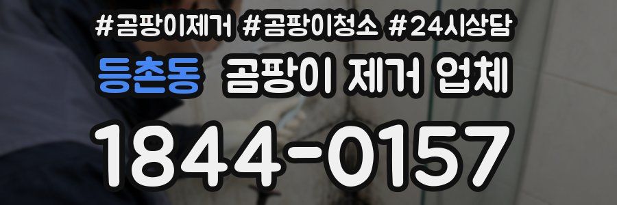 등촌동 곰팡이 제거 업체
