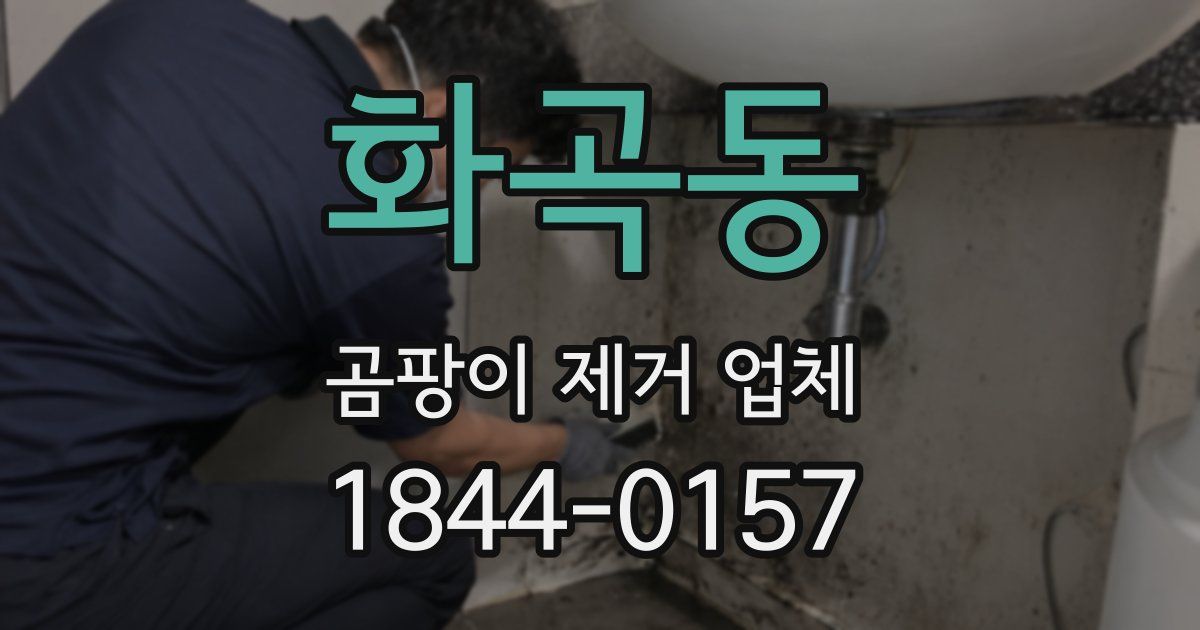 화곡동 곰팡이 제거 업체