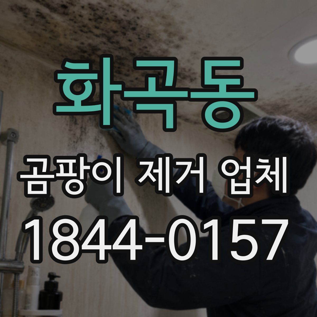 화곡동 곰팡이 제거 업체