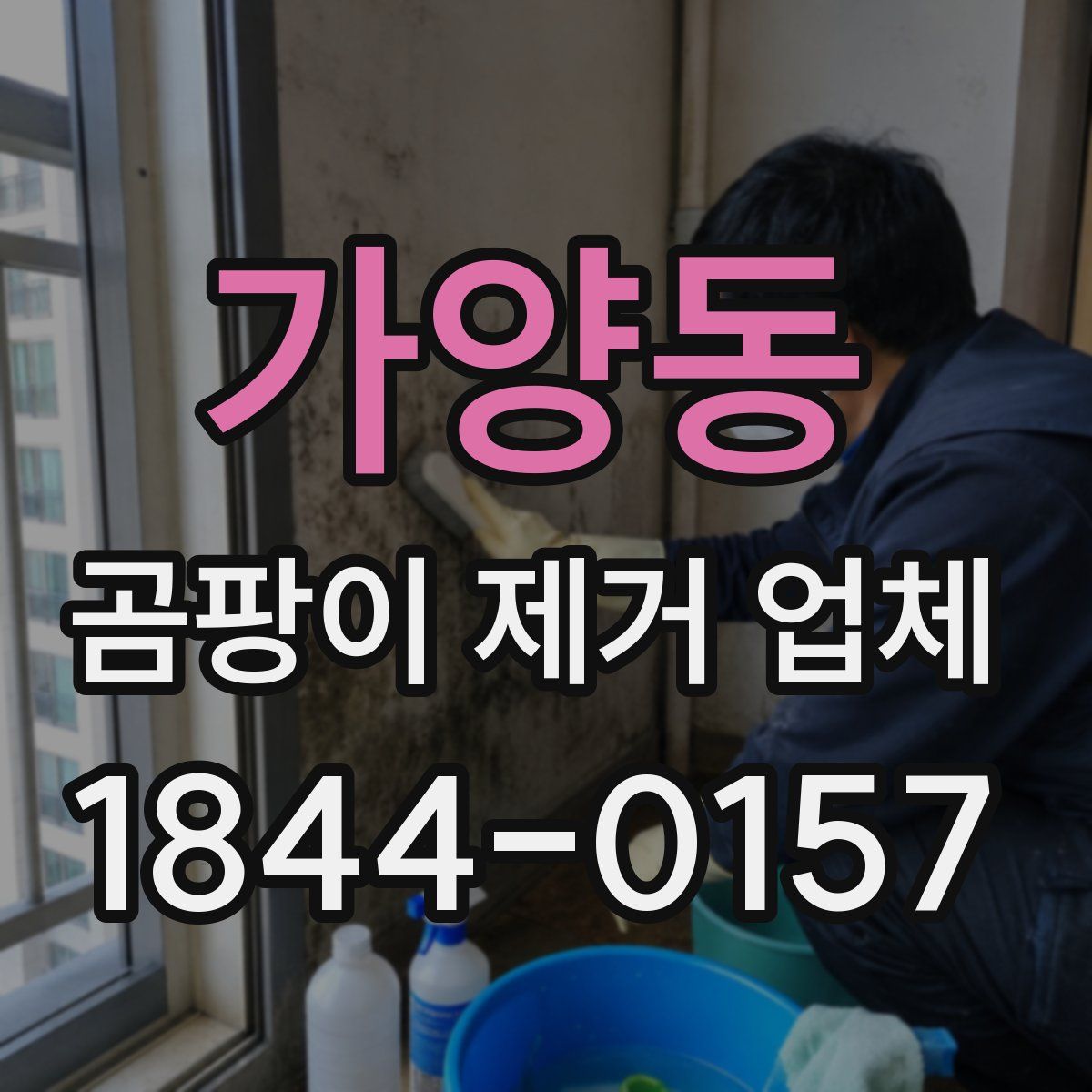 가양동 곰팡이 제거 업체