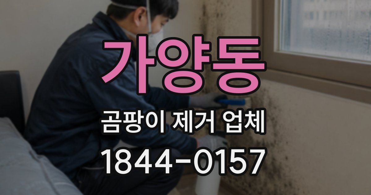 가양동 곰팡이 제거 업체