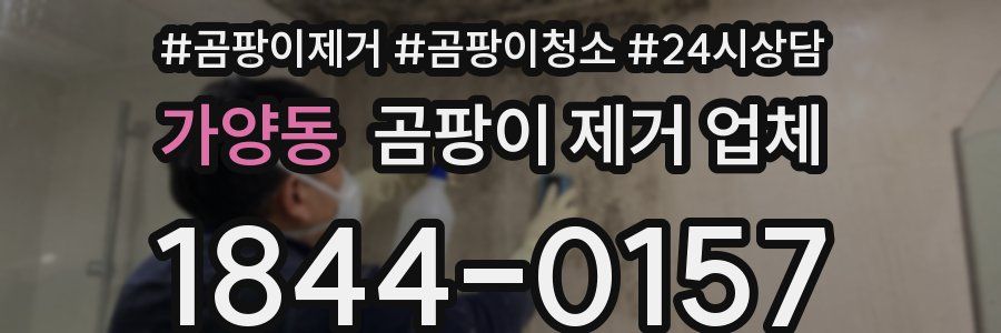 가양동 곰팡이 제거 업체