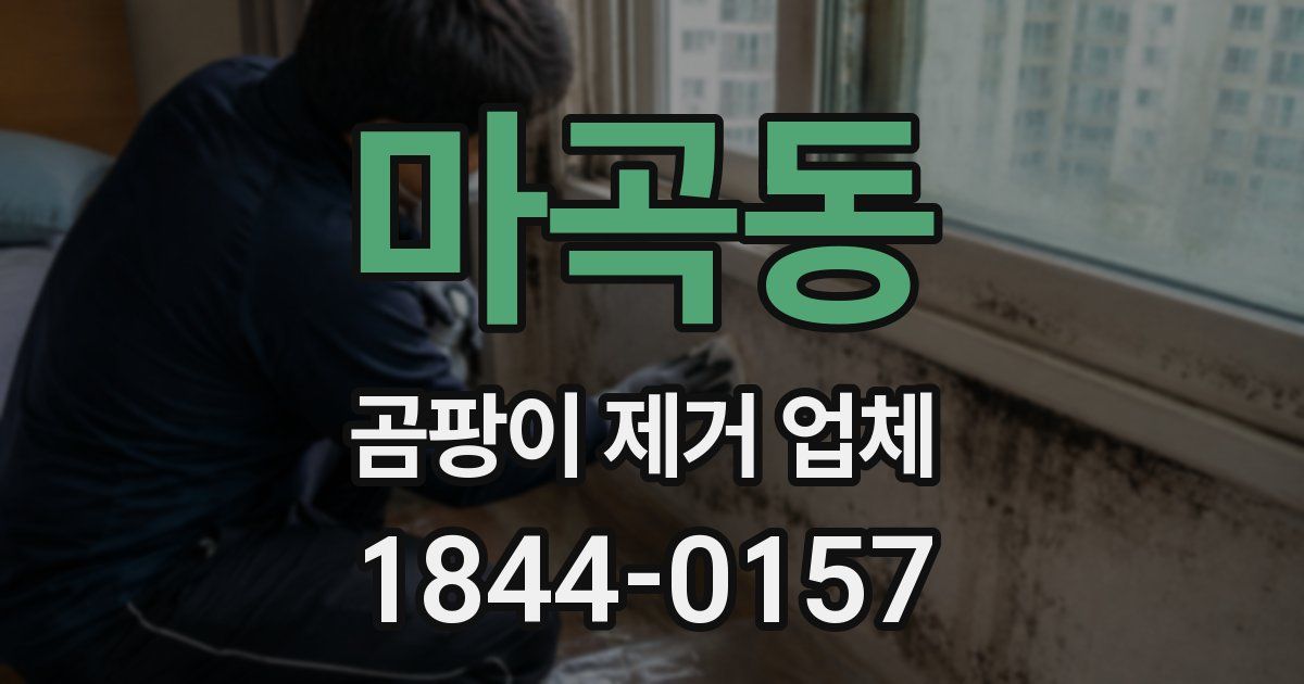 마곡동 곰팡이 제거 업체