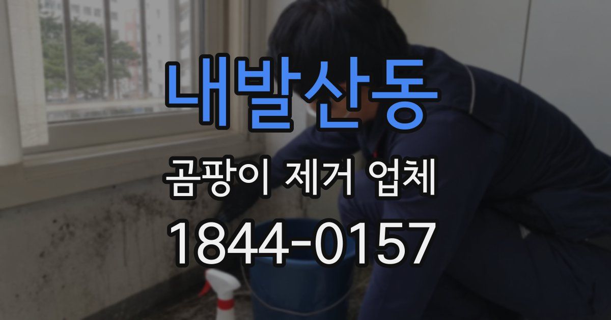 내발산동 곰팡이 제거 업체