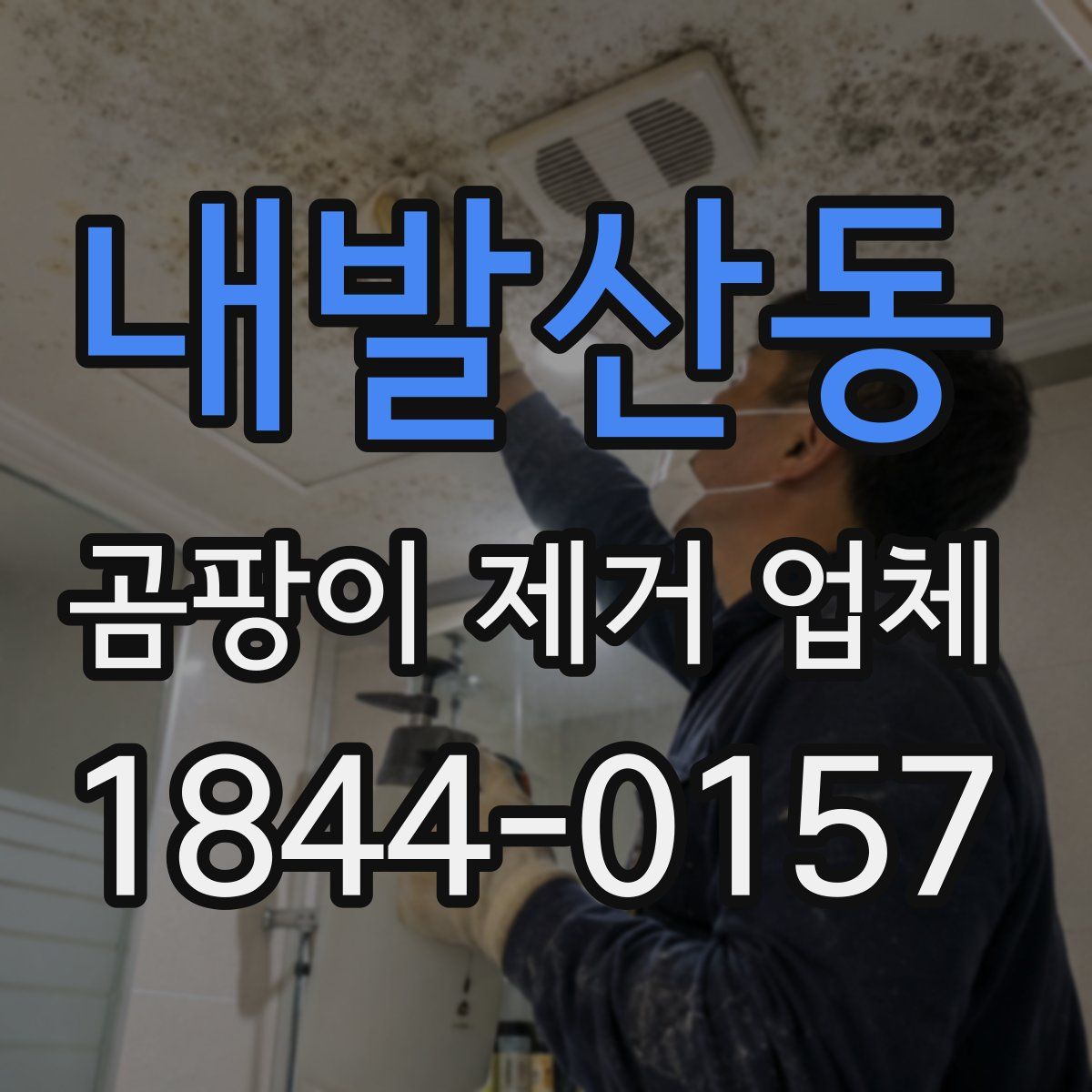 내발산동 곰팡이 제거 업체