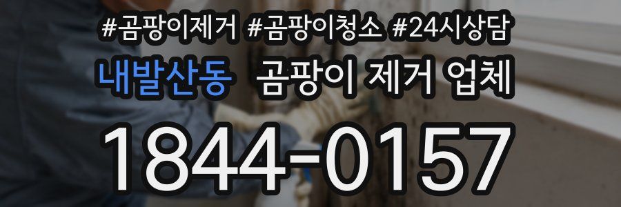 내발산동 곰팡이 제거 업체
