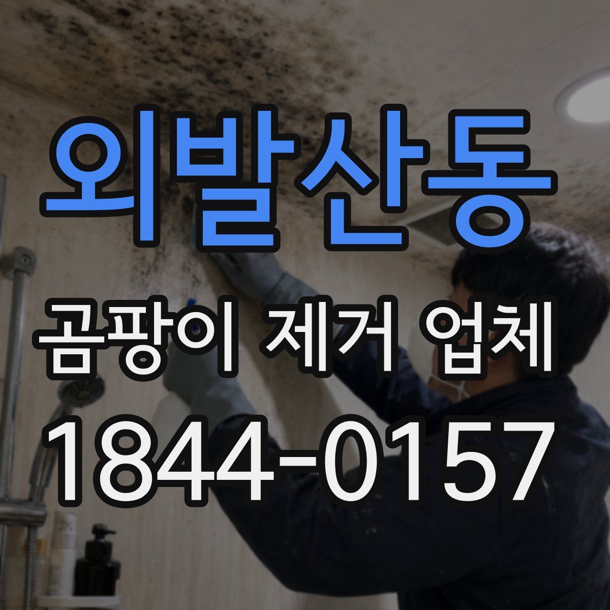외발산동 곰팡이 제거 업체