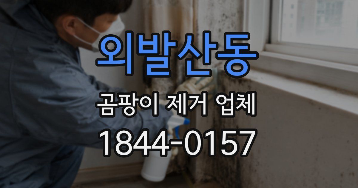 외발산동 곰팡이 제거 업체