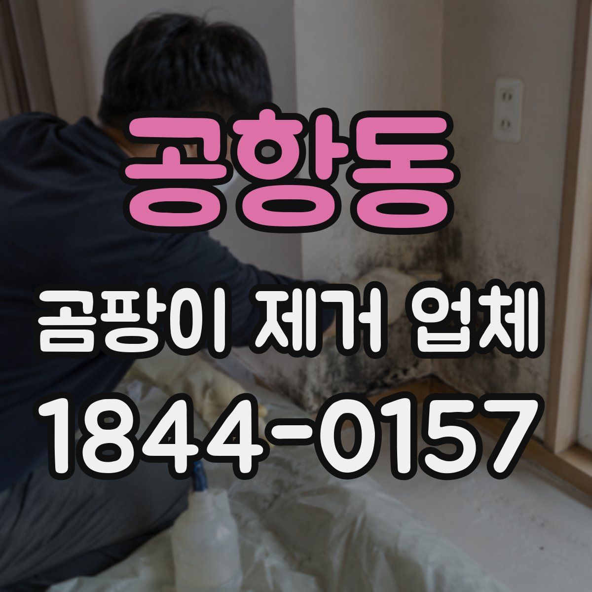 공항동 곰팡이 제거 업체