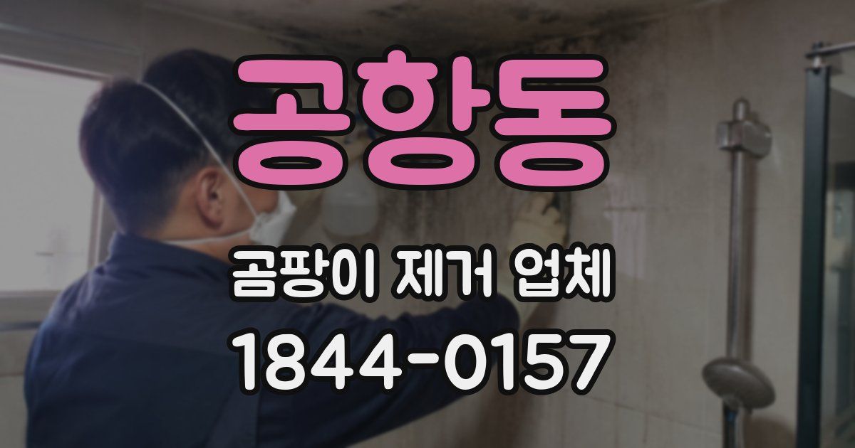 공항동 곰팡이 제거 업체