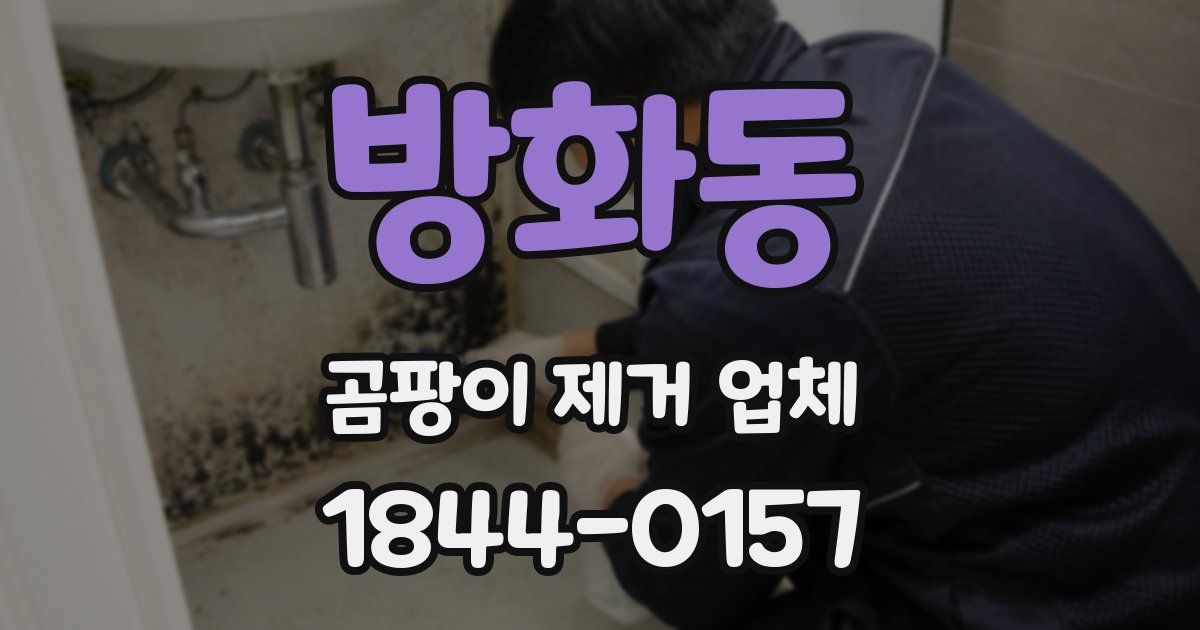 방화동 곰팡이 제거 업체