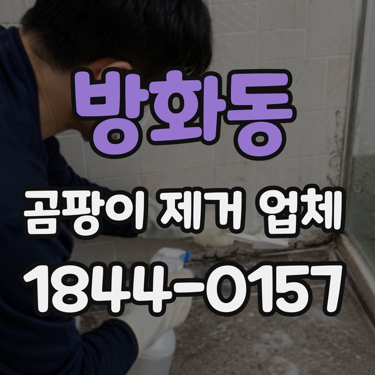 방화동 곰팡이 제거 업체