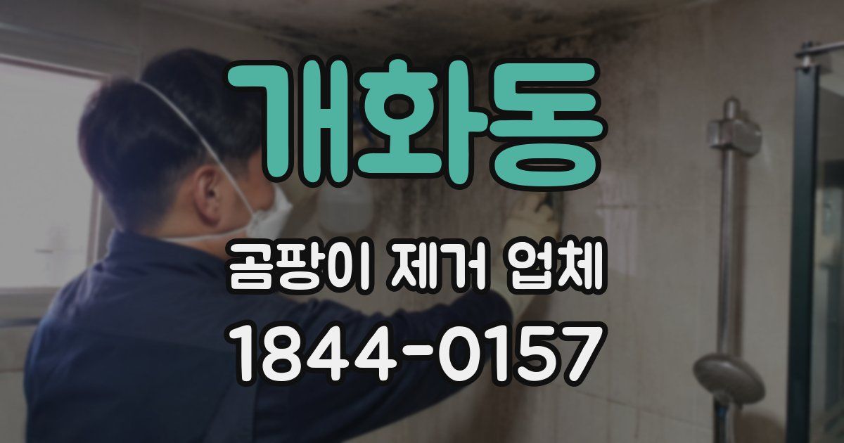 개화동 곰팡이 제거 업체