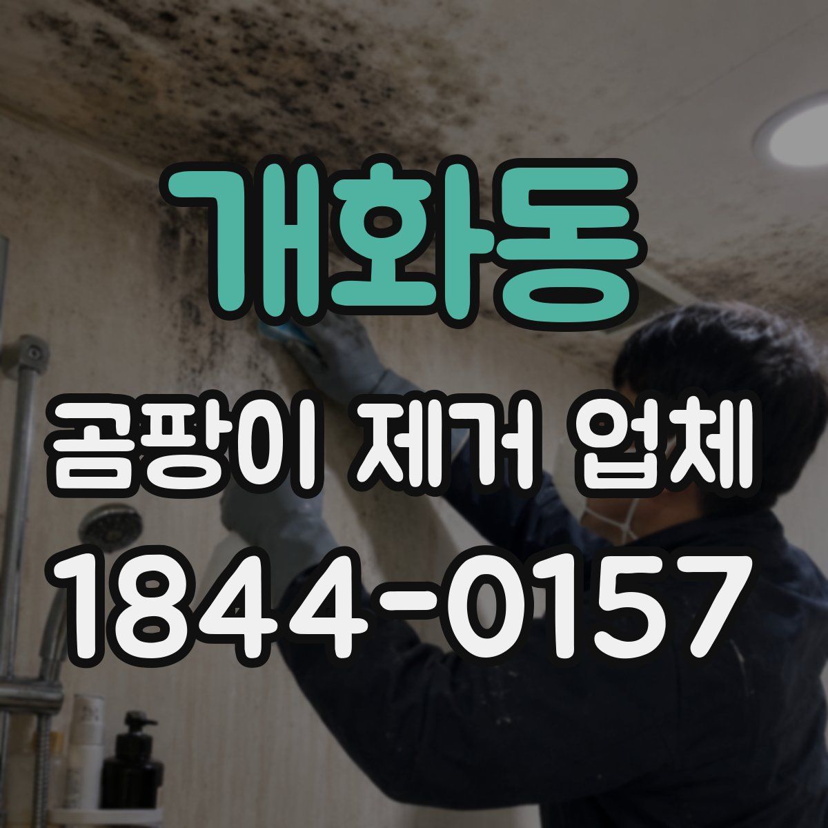 개화동 곰팡이 제거 업체