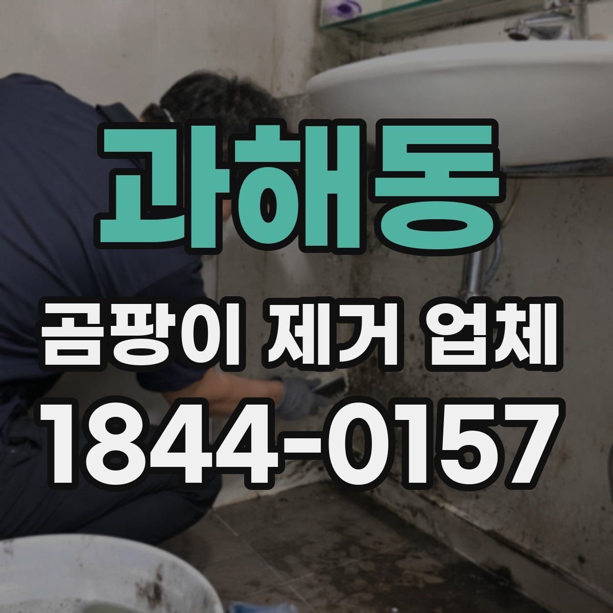 과해동 곰팡이 제거 업체