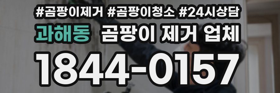 과해동 곰팡이 제거 업체