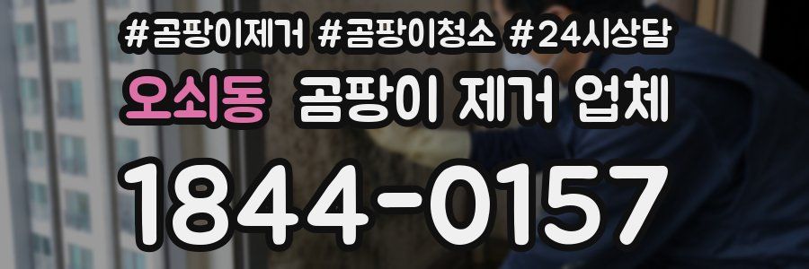 오쇠동 곰팡이 제거 업체