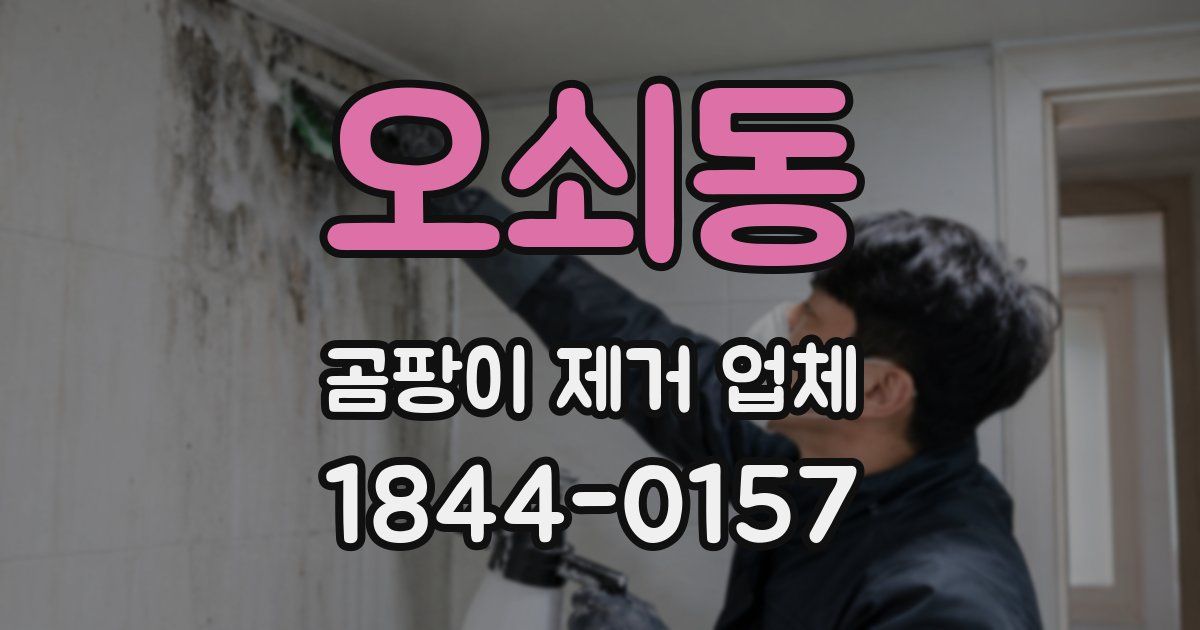 오쇠동 곰팡이 제거 업체