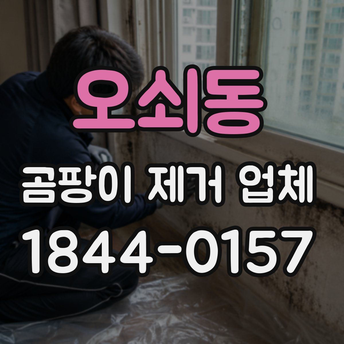 오쇠동 곰팡이 제거 업체